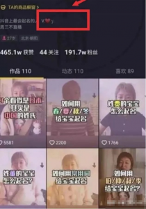 两个项目日收入500 ，一个有门槛，一个0门槛!-孙裔蒙