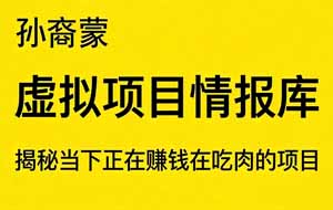 《虚拟项目情报库》130+个虚拟项目，揭秘别人正在赚钱的虚拟产品-孙裔蒙